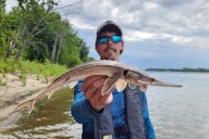 Some Shovelnose Sturgeon in Illinois Are Huge and Researchers Are Fishing for Reasons Why