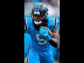 Can a two-headed rushing attack bring success for the Panthers?