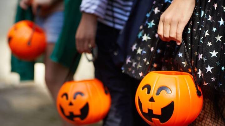 50 things to do this weekend in the Rockford area