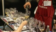 El vino argentino brilló en São Paulo: elegancia, nuevas fronteras y diversidad de estilos