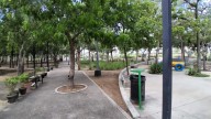El 15 de noviembre se inaugura el Sendero de Paz en el Parque Central