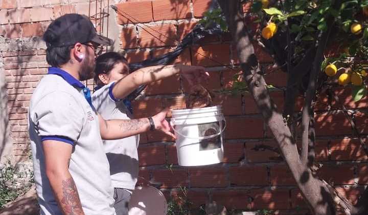 Ya se han liberado más de 2 millones de machos estériles de la mosca de los frutos