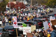 More than 6,000 rally in DeWitt for “No Kings” protest against Trump administration