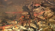 Blast at a Tennessee explosives plant leaves multiple people dead and missing, sheriff says
