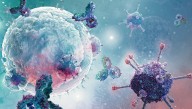 Nobel Prize In Physiology Or Medicine 2025 Goes To Breakthrough That Helped Uncover The Cause Of Autoimmune Diseases