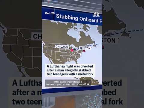 A Lufthansa flight was diverted after a man allegedly stabbed two teenagers with a metal fork
