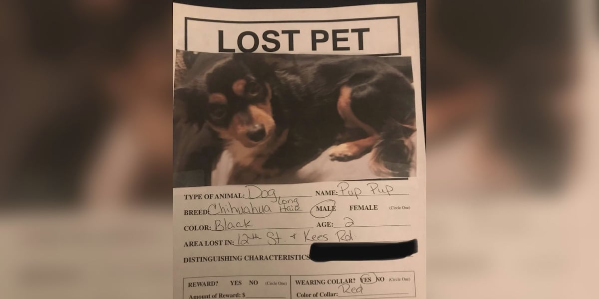 Paws 4 the Cause warns of lost dog scam