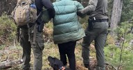 Warden Service K9 team locates 91-year-old lost in the woods