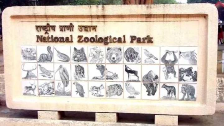 Delhi zoo bird flu-free, but reopening likely only after October 30