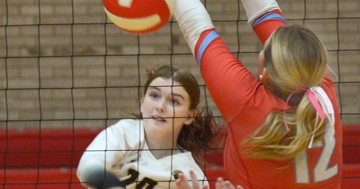 Photos: Sycamore volleyball earns victory over Ottawa