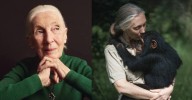 Jane Goodall fallece a los 91 años: Investigadora demostró que los chimpancés tienen sentimientos