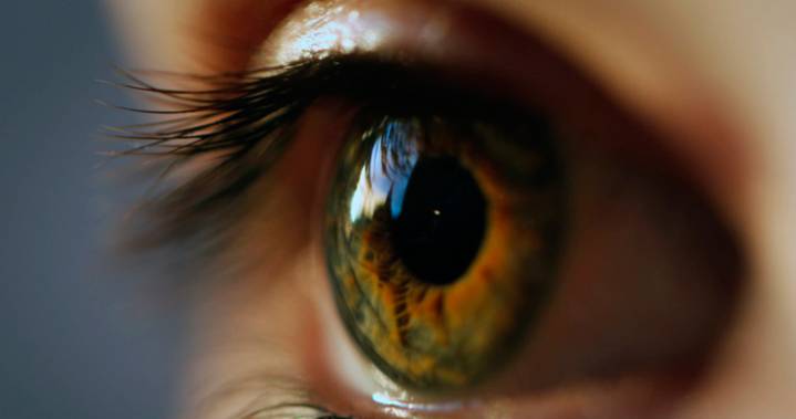 Descubren forma de ‘ver’ el envejecimiento y el riesgo de enfermedades cardíacas