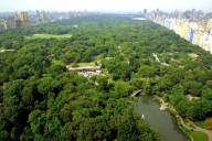 La UICN destaca que el futuro de la conservación de la naturaleza también pasa por las grandes urbes