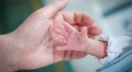 2-year-old Odisha girl, ‘abducted’ by uncle, rescued from West Bengal
