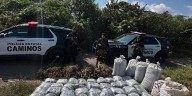 Aseguran media tonelada de marihuana en San Marcos