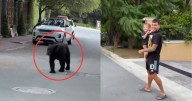 Video: Así fue la reacción de Ángel Correa al enfrentar a un oso afuera de su casa