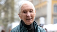 Jane Goodall's cause of death confirmed following her passing aged 91