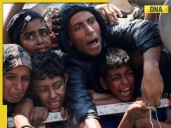 2 years of Gaza war: From Hamas attack to Trump peace plan, a timeline