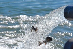 Salmon Region waters to be stocked with trout in October