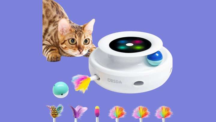 Save 20% on this interactive cat toy during Amazon's October sale