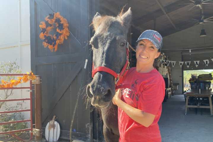 Safe in Austin brings children and animals ...