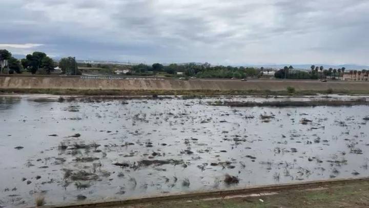 El cauce del Turia, hoy 12 de octubre