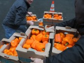 Photos: Food banks scramble to get ready as SNAP funding deadline looms