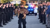 El último adiós a un perro policía muy especial hace llorar a todo el Cuerpo
