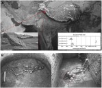 DNA From Ancient Burials in Kashmir Reveals Genetic Bridge