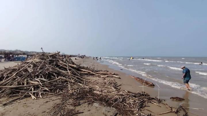 Palizada del río Pánuco no frena a visitantes: familias disfrutan en Playa Miramar [Video]