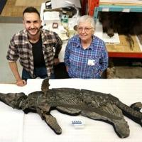New species of Jurassic 'sword dragon' found in UK