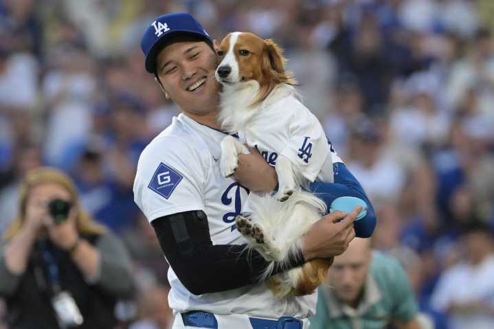 Greg Peterson’s MLB Picks for Friday, October 17