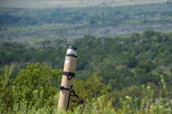 Army's 1st Cavalry Division Conducts First Switchblade 600 Live-Fire Exercise | Soldier Systems Daily Soldier Systems Daily