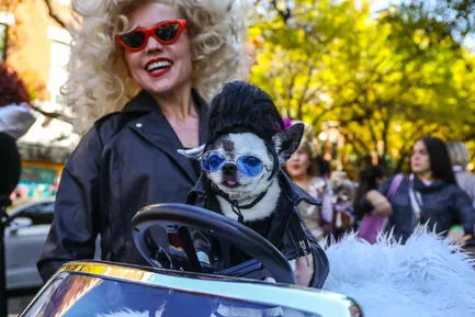 Paw-rade perfection: The Tompkins Square Halloween Dog Parade is back this weekend