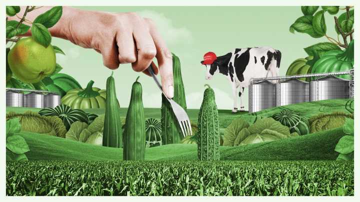 Trump’s deportations are changing how we think about food