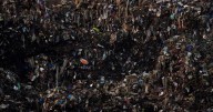 The food you toss costs you plenty and emits tons of pollution. We've got tips on how to cut down