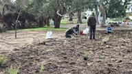 More than $1.5m to restore and protect Canning waterways