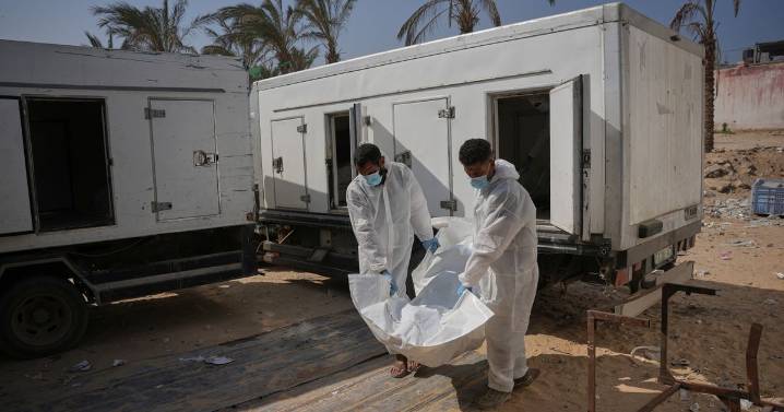 Gaza ceasefire 'holds' as bodies exchanged between Israelis and Palestinians