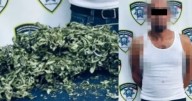 Salió de un baldío con planta de marihuana; fue detenido