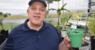 Bethesda greenhouse helps grow confidence