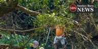 Portion of Springfield Greenway closed after family locates human remains one day after human skull found