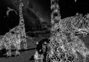 'To the Moon': la obra inmersiva que redefine la experiencia artística en Santander