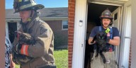 Firefighters rescue 2 cats from house fire in Colerain Township