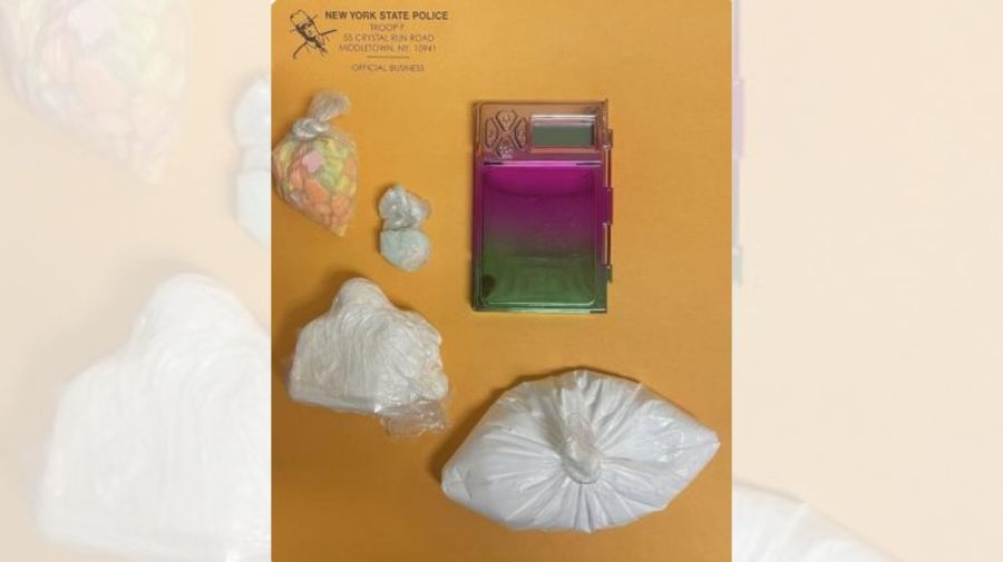Bronx man arrested for stolen car, drug possession in New Paltz