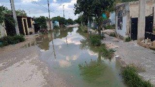 Hartazgo en Kanasín: habitantes continúan viviendo entre agua verde