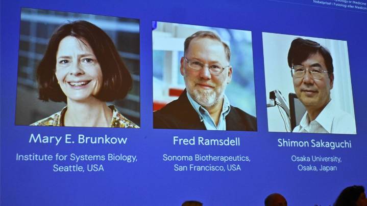Nobel Prize in medicine goes to 3 scientists for work on human immune system