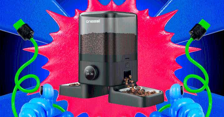 Score a Deal on Some WIRED-Tested Pet Gear This Prime Day