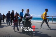 “Lleno de heridas y dolor”: el retorno de miles de palestinos a Gaza tras el alto al fuego