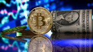 Dólar cripto: qué anticipa el único mercado abierto a un día de las elecciones legislativas