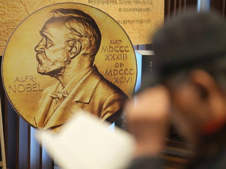 Discovery that won Nobel Prize is likened to enchanted handbag